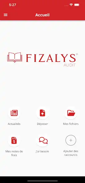 Play FIZALYS as an online game FIZALYS with UptoPlay