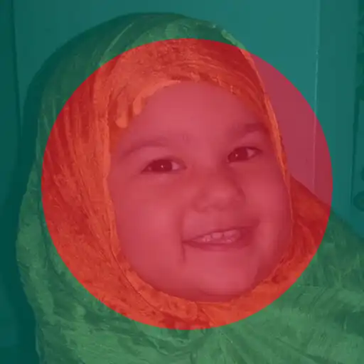 Play Flag 71 - Profile Flag of Bangladesh APK