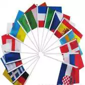 Free play online Flag Live Wallpaper APK