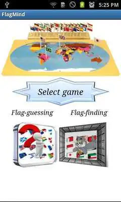 Play FlagMind