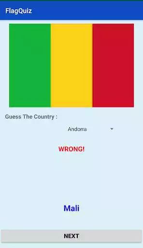 Play Flag Quiz Game
