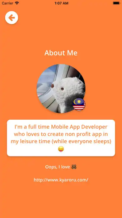 Play Flags 4 Fun as an online game Flags 4 Fun with UptoPlay