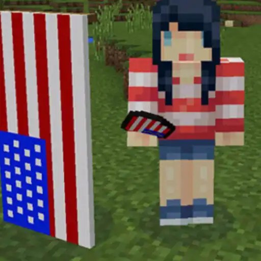 Play Flag Skin for Minecraft APK