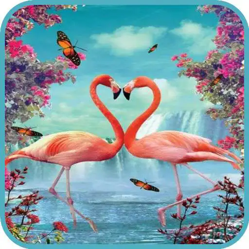 Play Flaminggo Wallpaper APK Play Flaminggo Wallpaper APK