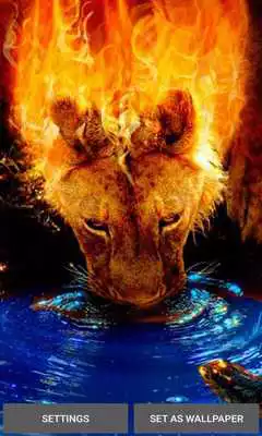 Play Flaming Lion Live Wallpaper
