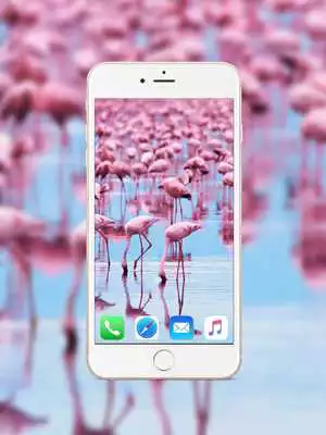 Play Flamingo Wallpaper