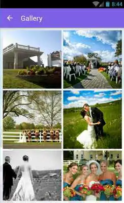 Play Flanders Valley Weddings Play Flanders Valley Weddings