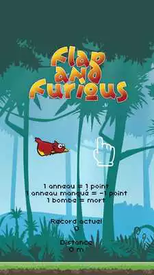 Play Flap And Furious