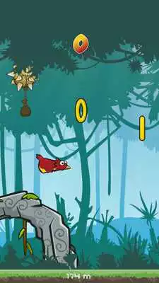 Play Flap And Furious