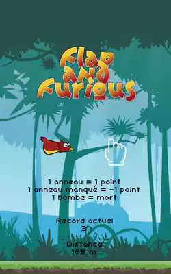 Play Flap And Furious