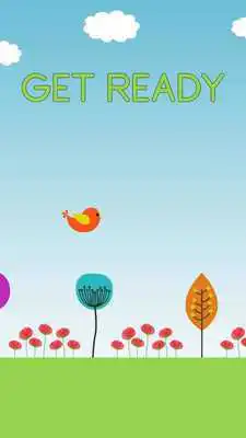 Play Flap Flap Birdie