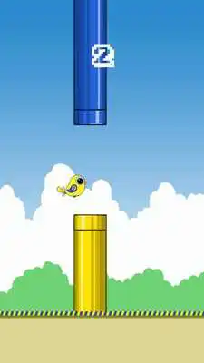 Play Flapping Fenerbahce Canary