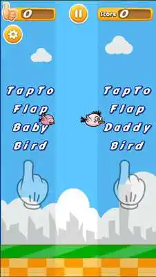 Play Flappy Baby Bird
