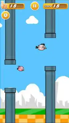 Play Flappy Baby Bird