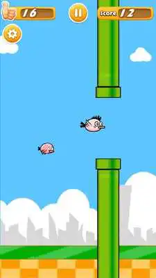Play Flappy Baby Bird
