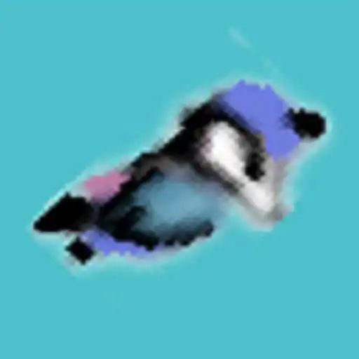 Play Flappy Badger APK