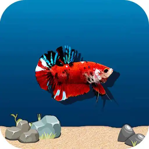Play Flappy Betta APK