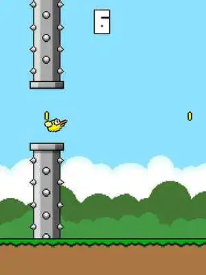 Play Flappy Chick