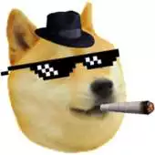 Free play online Flappy Doge 420 APK