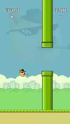 Play Flappy Doge 420