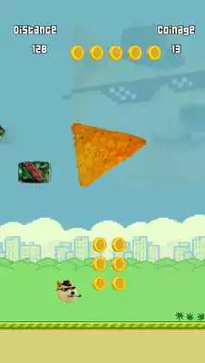 Play Flappy Doge 420