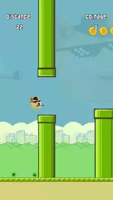 Play Flappy Doge 420
