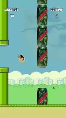 Play Flappy Doge 420