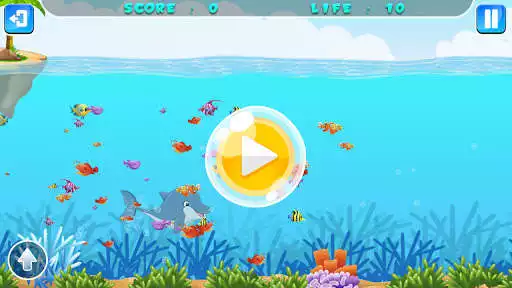 Play Flappy Dolphin