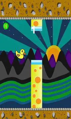 Play Flappy Duck Pro Play Flappy Duck Pro