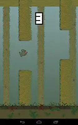 Play Flappy Family