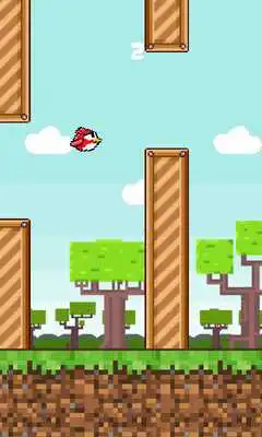 Play Flappy Finch Play Flappy Finch