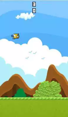 Play Flappy Pro Play Flappy Pro