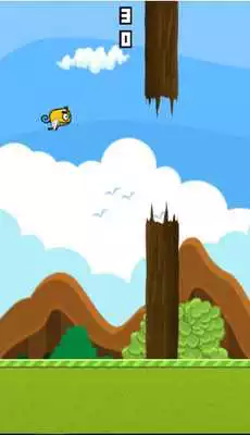 Play Flappy Pro Play Flappy Pro
