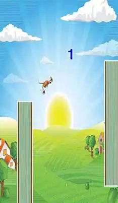Play Flappy Skippy Kangaroo