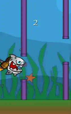 Play Flappy the shark