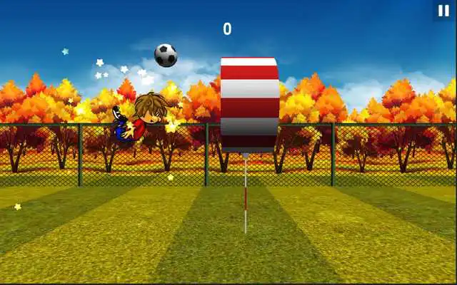 Play Flappy World Cup