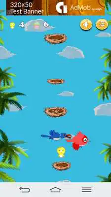 Play Flap Training