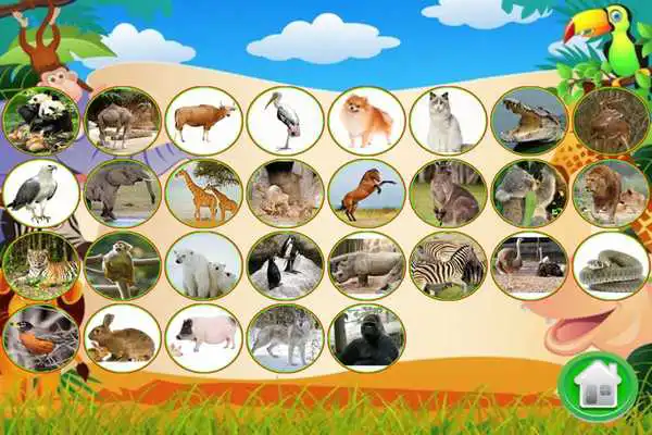 Play Flashcards for Babies Free