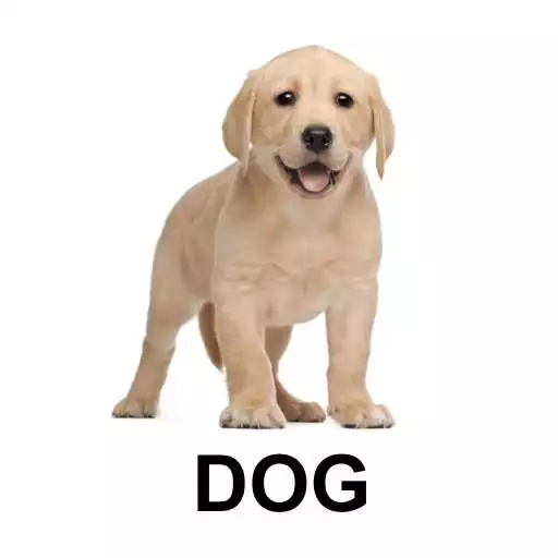 Free play online Flash Cards for Kids APK