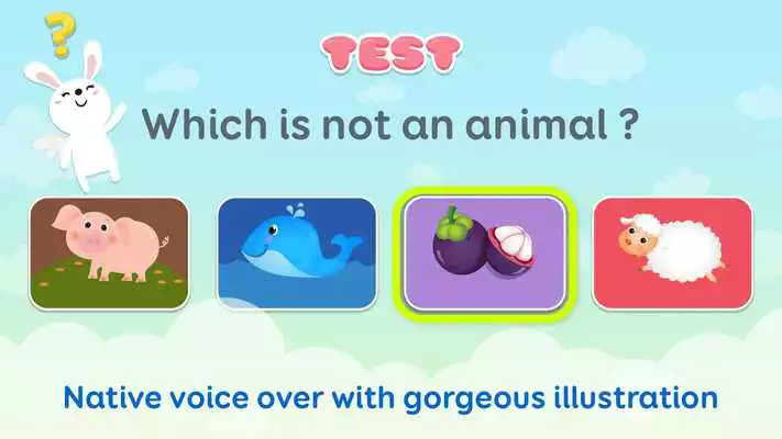 Play Flash Cards for Kids