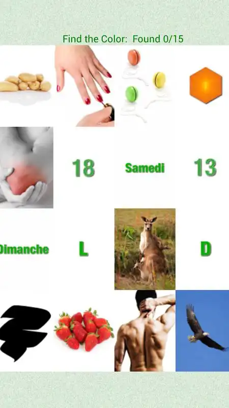 Play Flashcards French Lesson