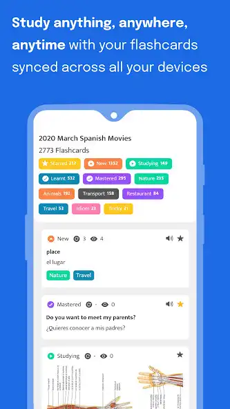 Play Flashcards Made Simple  and enjoy Flashcards Made Simple with UptoPlay