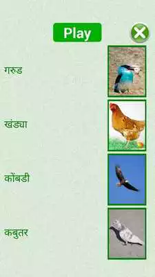 Play Flashcards Marathi Lesson