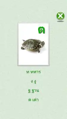 Play Flashcards Thai Lesson