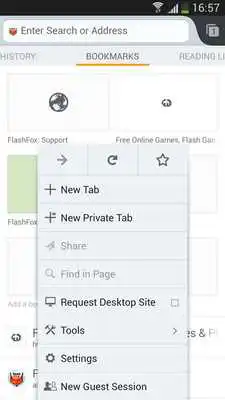 Play FlashFox