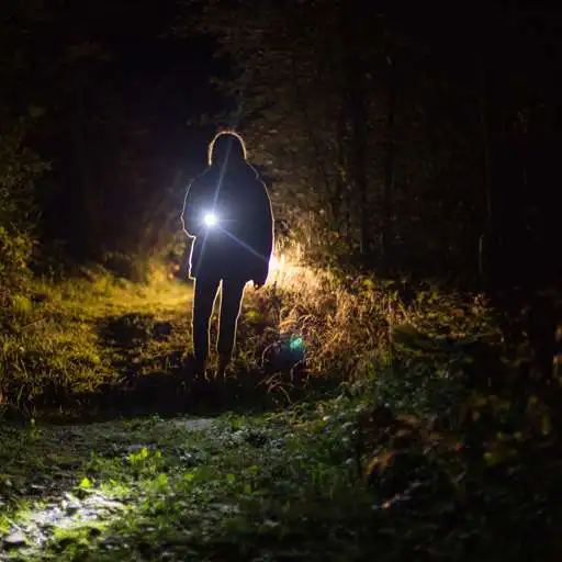 Play Flashlight Mobile Torch APK