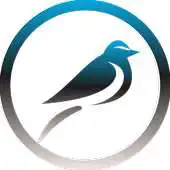 Free play online Flaunt HD APK