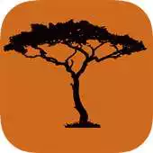 Free play online Flavors of East Africa APK