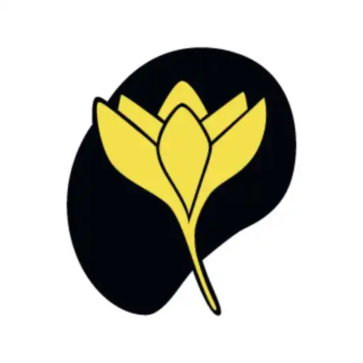 Play Flavuscom APK Play Flavuscom APK