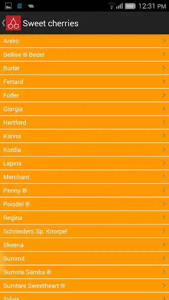 Play Fleuren as an online game Fleuren with UptoPlay